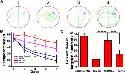 Large Amino Acid Mimicking Selenium-Doped Carbon Quantum Dots for Multi-Target Therapy of Alzheimer’s Disease